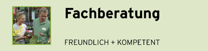 Fachberatung